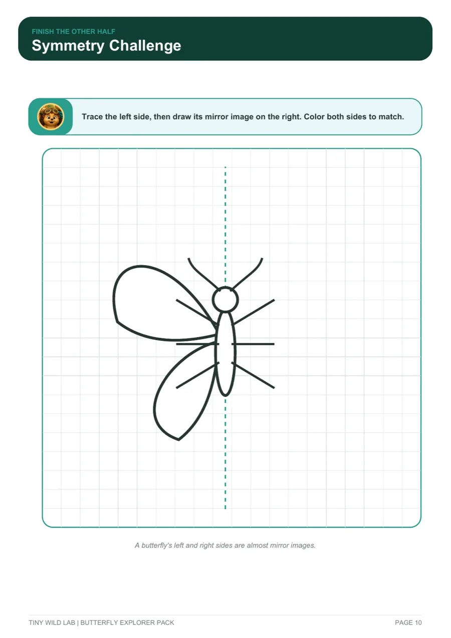 Butterfly symmetry challenge page
